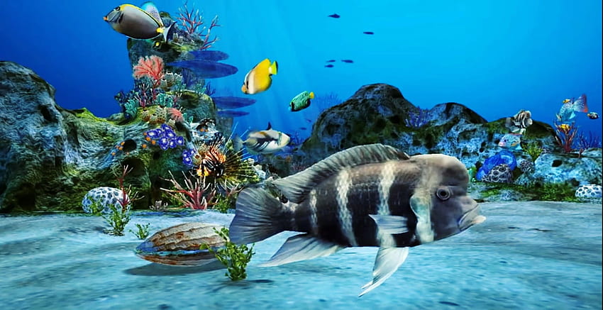 3D-Aquarium live - Machen Sie Ihren schirm realistisch HD-Hintergrundbild