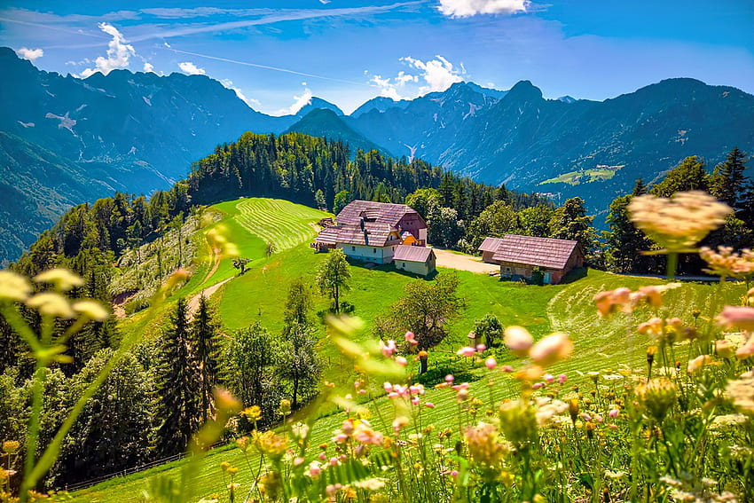 Summer mountain view, hills, beautiful, grass, houses, mountain, summer, wildflowers, view, sky, Slovenia HD wallpaper