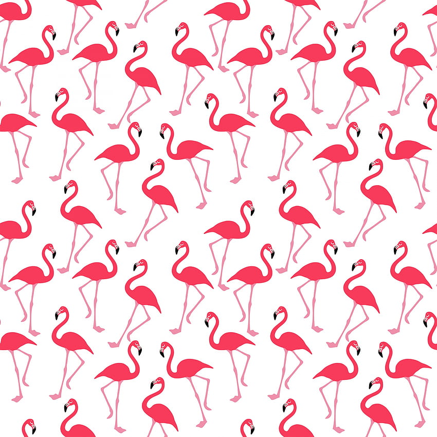 Flamingo 11 - 1920 X 1920 HD phone wallpaper | Pxfuel