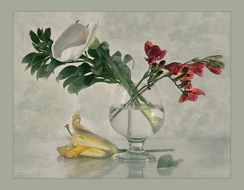 натюрморт 1, изкуство , натюрморт, стъклена ваза, семпла, цветя, вода, хубаво HD тапет