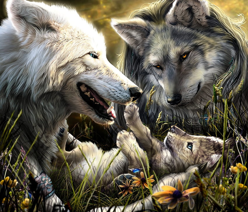 Happy Wolfs, happy, beautiful, wolfs, animals HD wallpaper