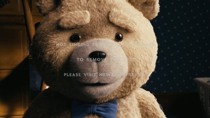 ted movie teddy bear entertainment HD wallpaper