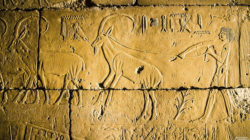 Ägyptische Hieroglyphen 9 16 2016 Hintergrund, ägyptische Hieroglyphen HD-Hintergrundbild