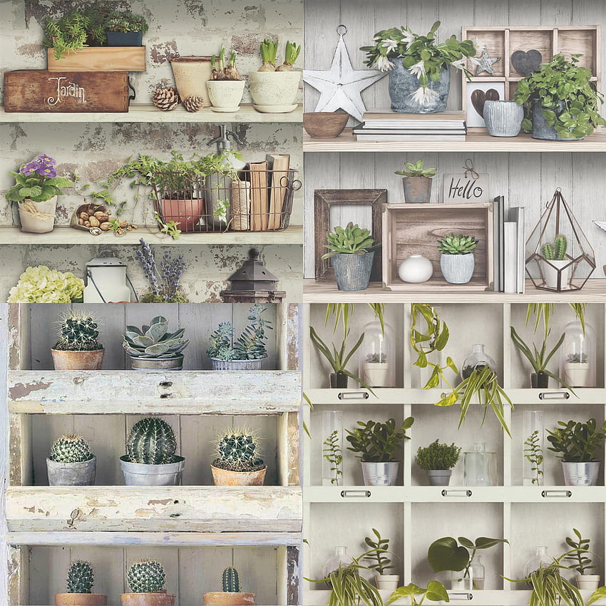 Flowerpot Plants Shelves Jars Leaves Floral Green House Garden Country HD phone wallpaper