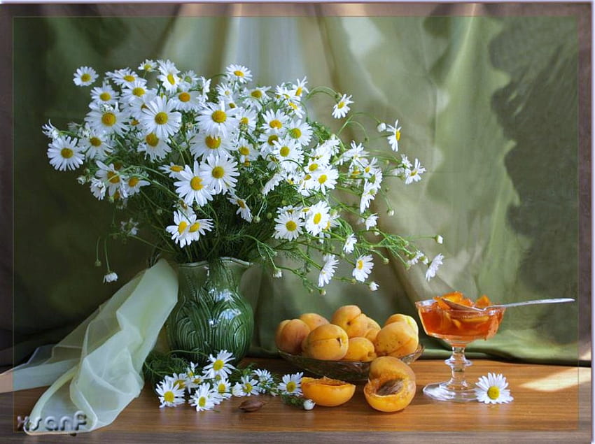 Aster dan aprikot - benda mati, meja, aprikot, tirai, jeli, pengaturan bunga aster Wallpaper HD