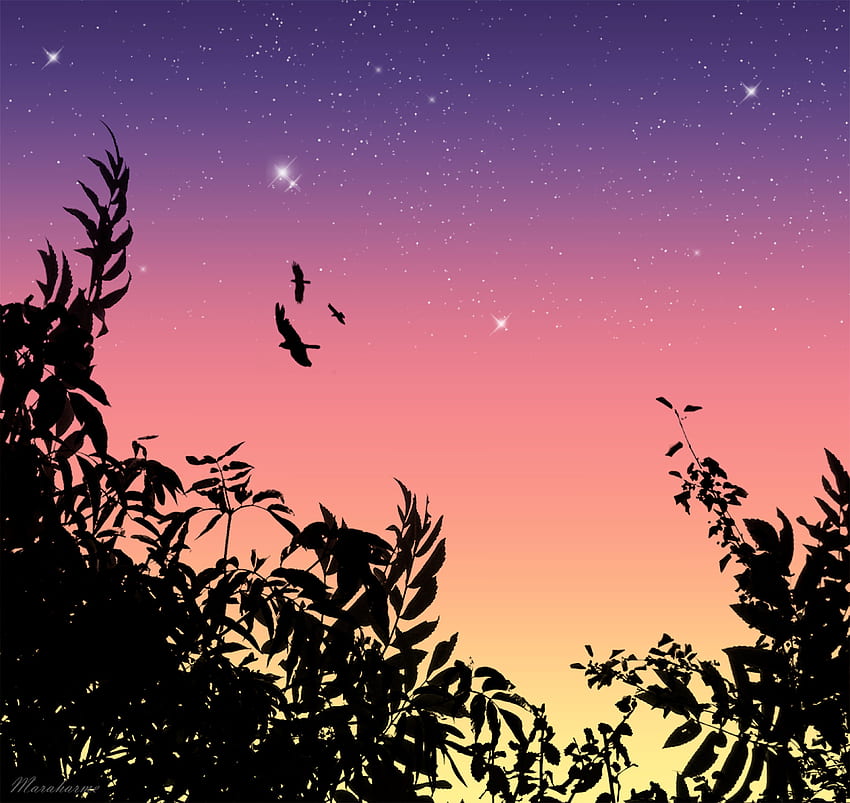 Birds, Stars, Vector, Flight HD wallpaper