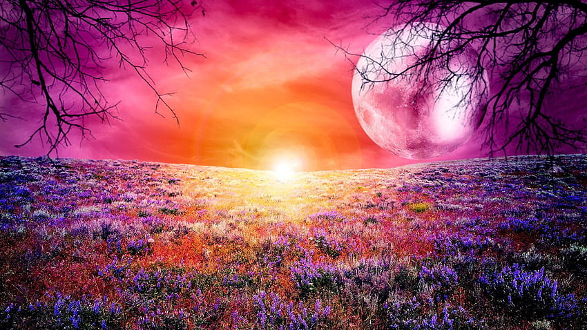 Pink moon peace • For You For & Mobile, Flowers and Moon HD wallpaper
