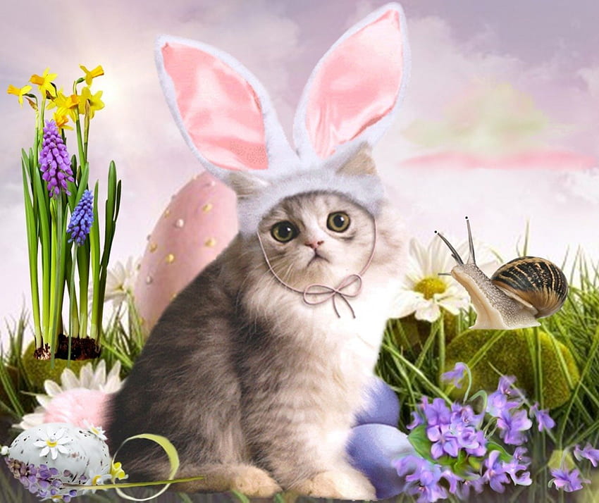 Easter Cat, flower, cat, easter, eggs, snail HD wallpaper