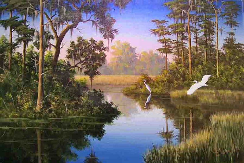 Crane Lake, birds, life, , trees, wilderness, lake HD wallpaper