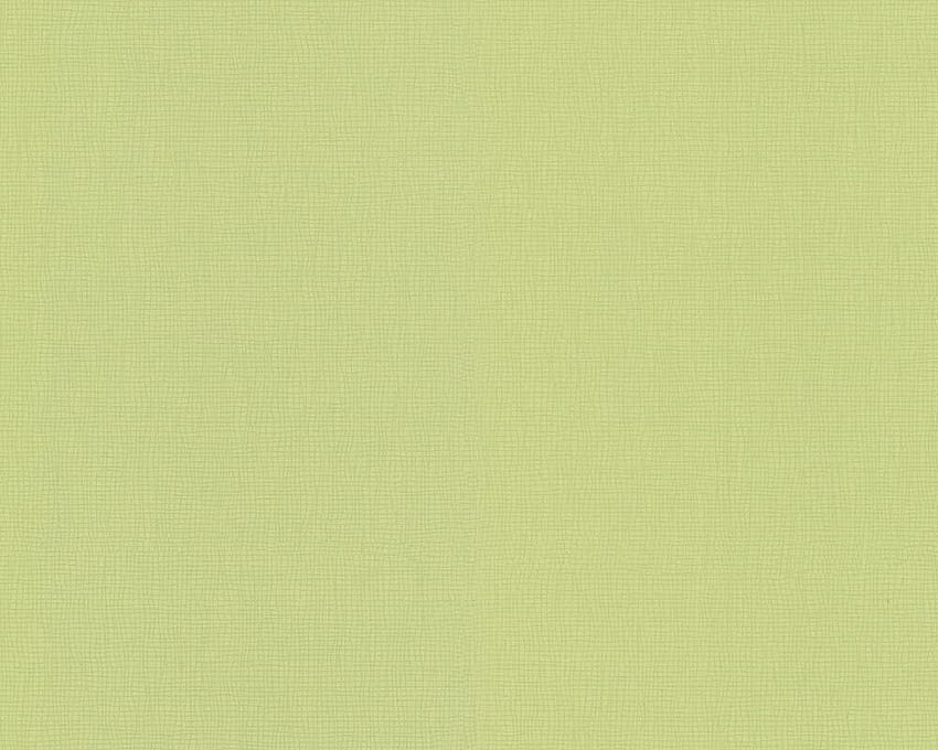 Happy Hour - Modern Fresh Trendy Plain Green Roll HD wallpaper
