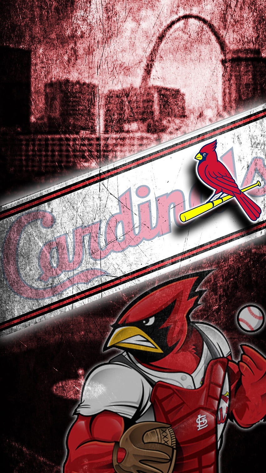 St. Louis Cardinals, Cardinals Baseball HD phone wallpaper