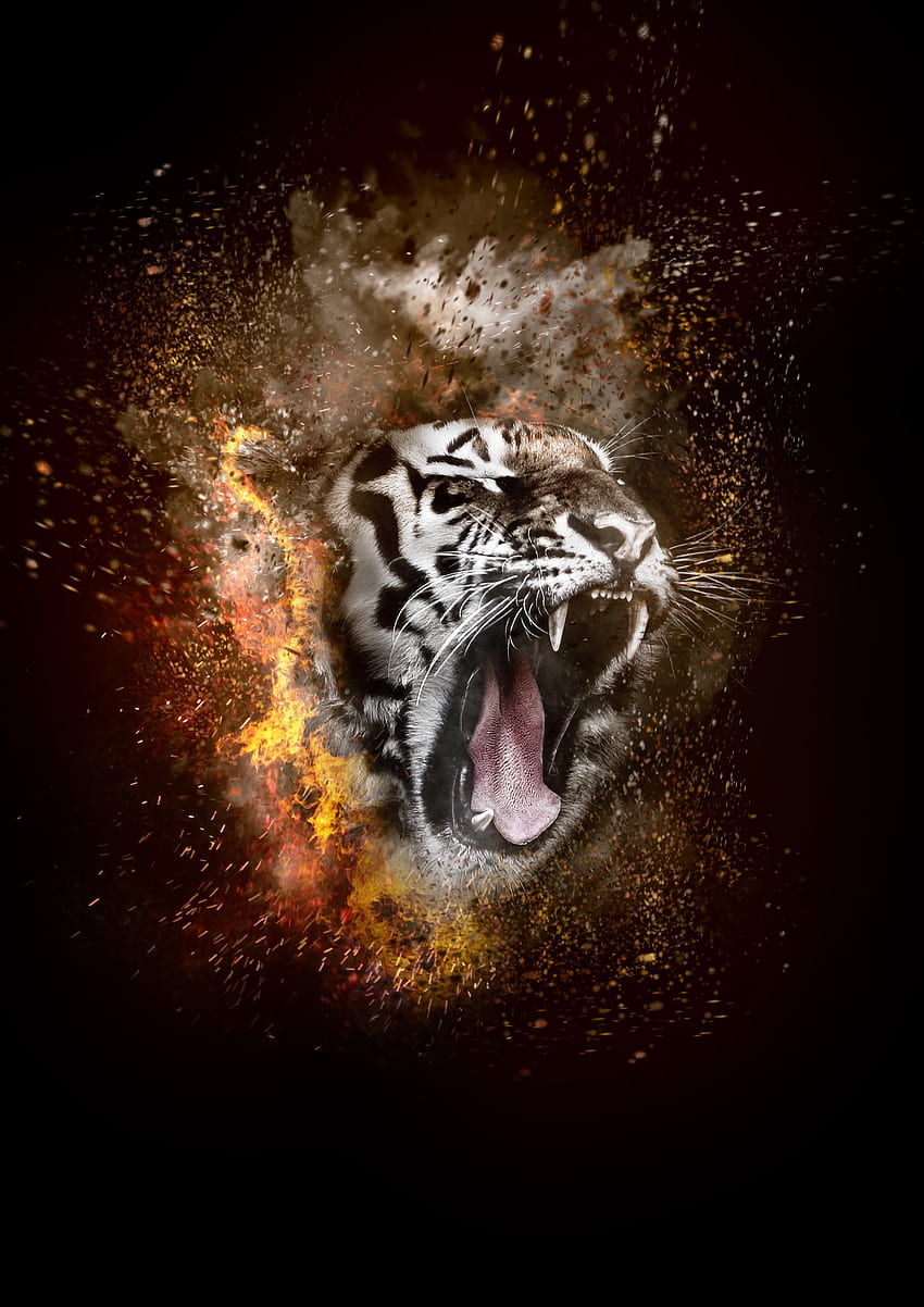 Tiere, Feuer, Grinsen, Tiger, hüpfen HD-Handy-Hintergrundbild