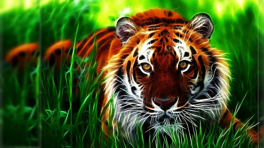 Beautiful Tigers ( in Collection) HD wallpaper