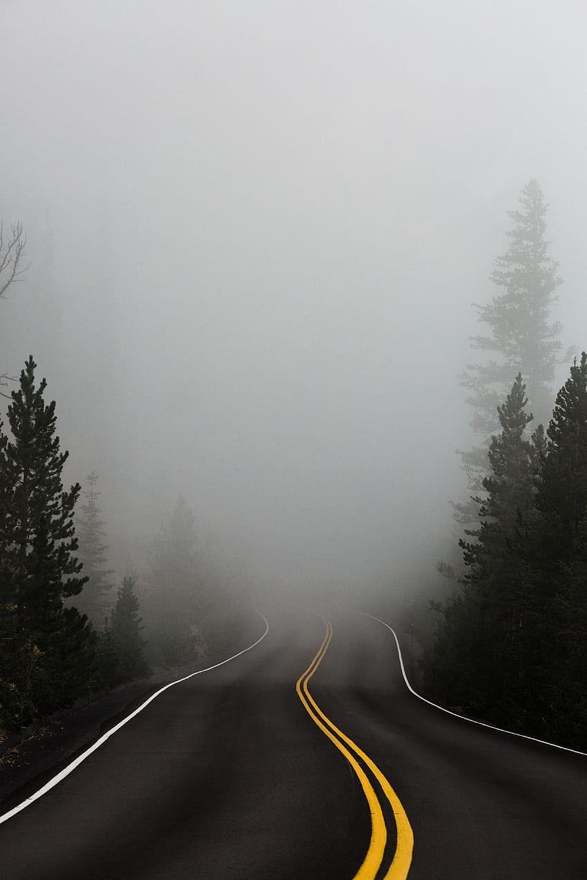 Natura, alberi, strada, svolta, markup, nebbia, asfalto Sfondo del telefono HD