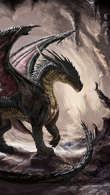 Download Free Android Wallpaper Dragon  4242  MobileSMSPKnet