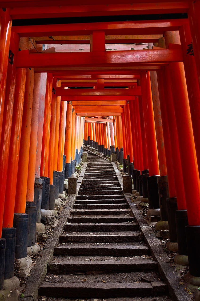 : Japan, Kyōto Shi, Fushimi Inari Taisha, Temple, Kyoto, Torii, Kyoto Mobile HD phone wallpaper