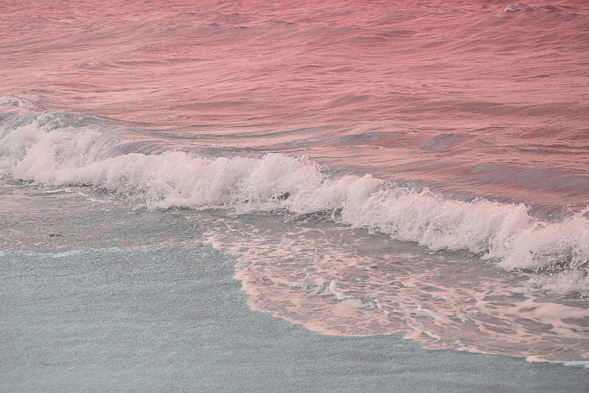 ラップトップ用のピンクの陰影のある海、ビーチの美学 高画質の壁紙