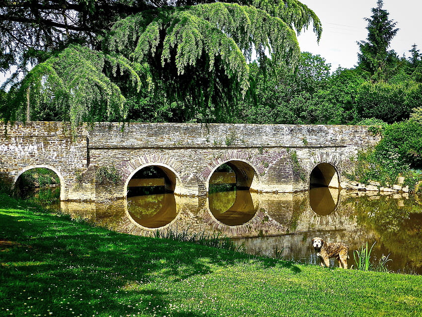Sungai, Jembatan, Lengkungan, Ploermel, Batu, warna hijau, rumput, 6000 X 4800 Indah Wallpaper HD