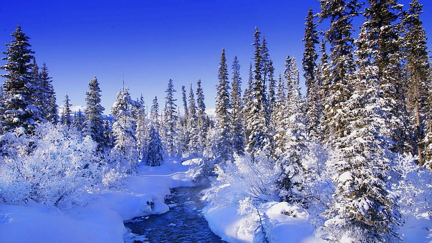 冬景色, 冬, 美しさ, 自然, 雪 高画質の壁紙