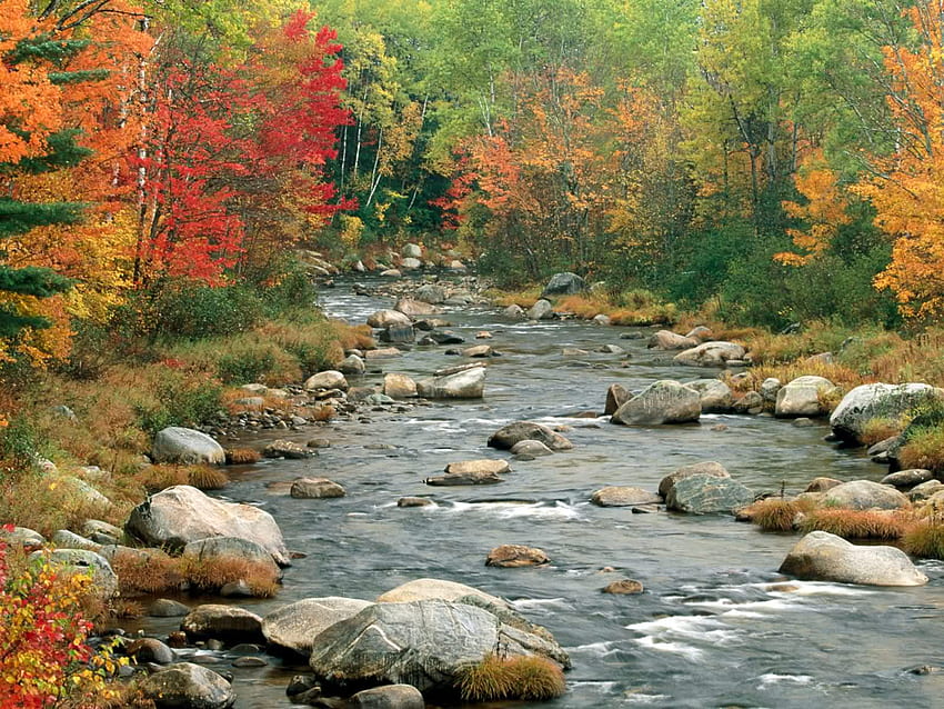 Premium Photo | Sunset over a mountain river wallpaper