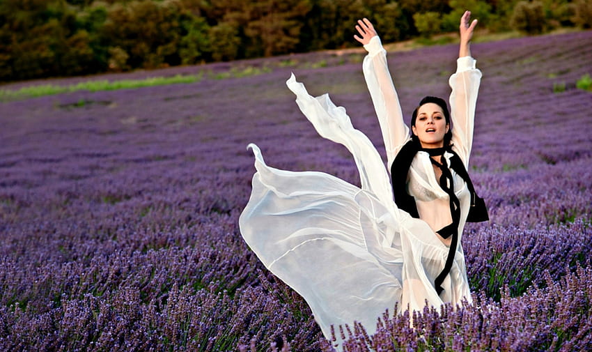 Marion Cotillard, white, girl, actress, woman, summer, purple, pink, field, flower, lavender HD wallpaper
