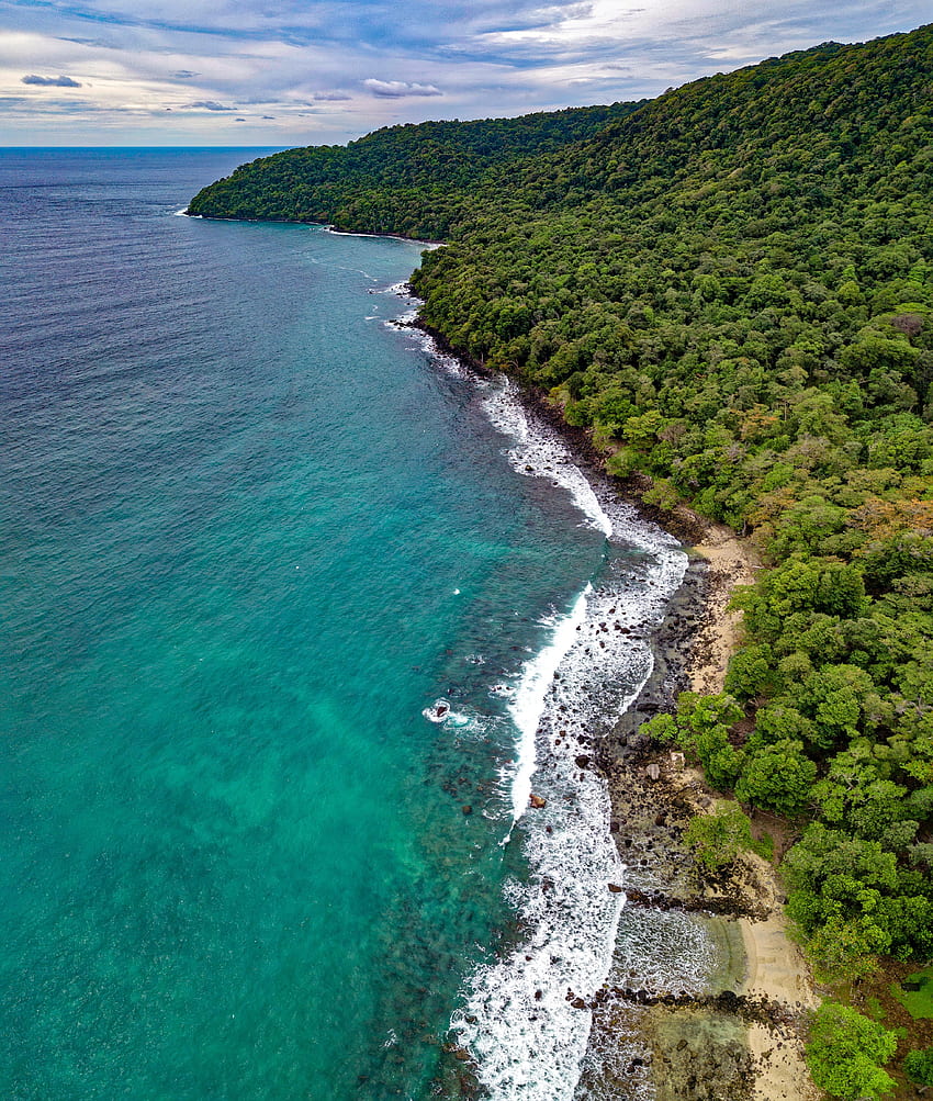 Nature, Beach, View From Above, Shore, Bank, Ocean, Vegetation HD phone wallpaper