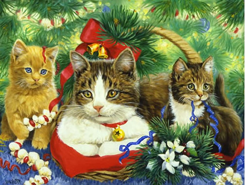 Christmas kittens, sweet, animal, kitten, basket, holiday, christmas ...