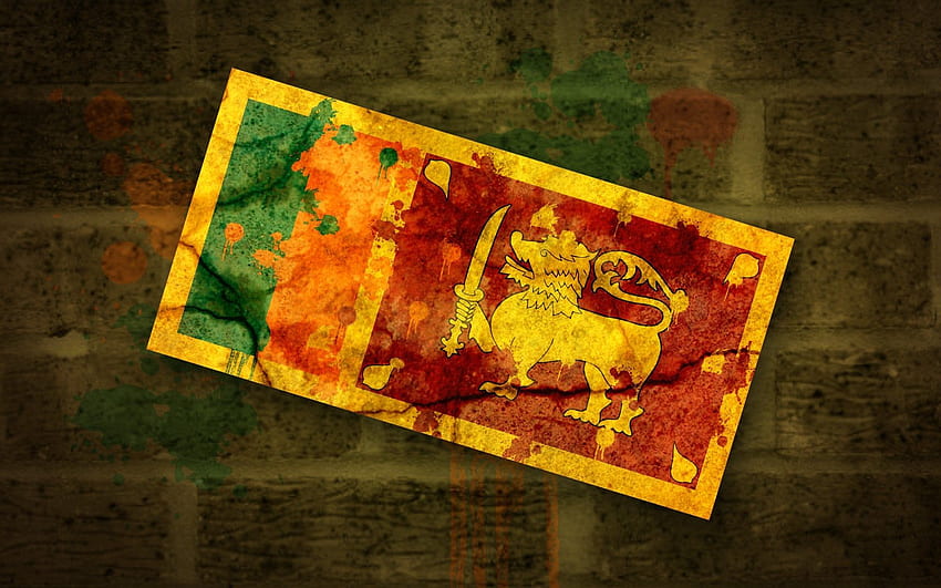 J'ai fait un drapeau sri-lankais grungy ! [1920 x 1200] : Fond d'écran HD