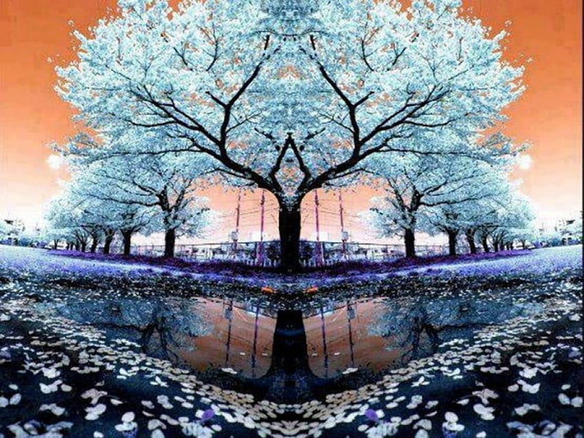 Beautiful Trees, blue, purple, nice colors, petals, trees, beautiful, flowers, water HD wallpaper