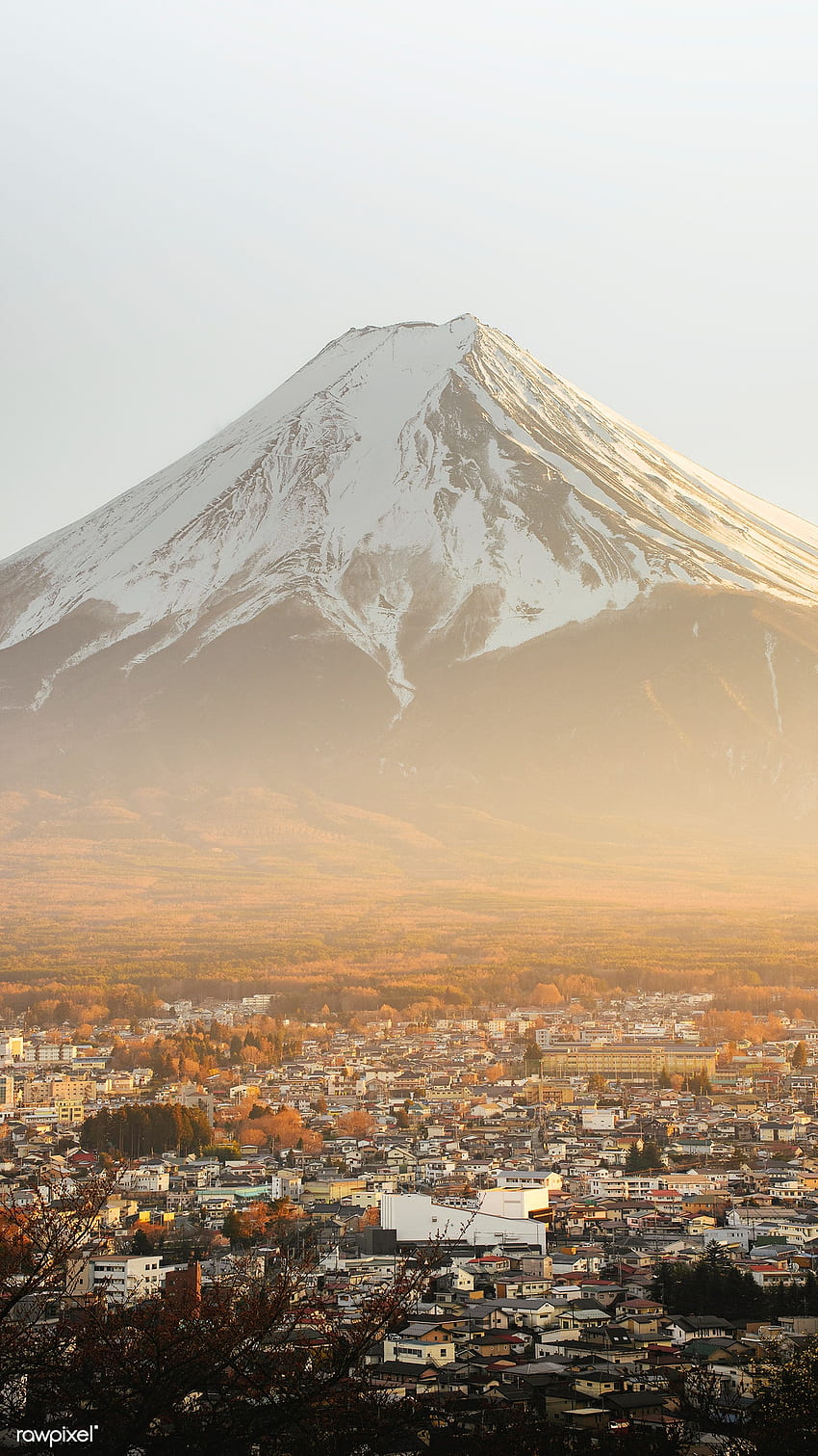 premium of Mount Fuji and Kawaguchiko town, Japan mobile HD phone wallpaper