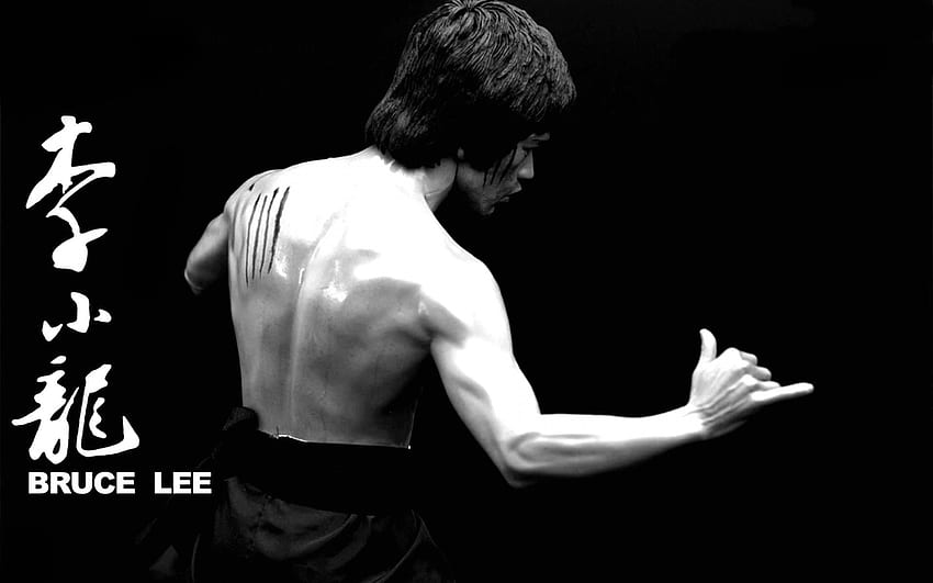 Bruce Lee In Chinese Writing - - - Tip, Jeet Kune Do HD wallpaper