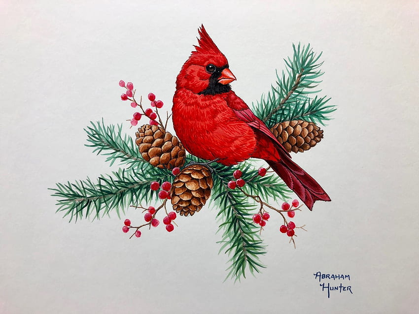 Christmas Cardinal, artwork, branch, painting, bird, songbird, berries, pinecone HD wallpaper