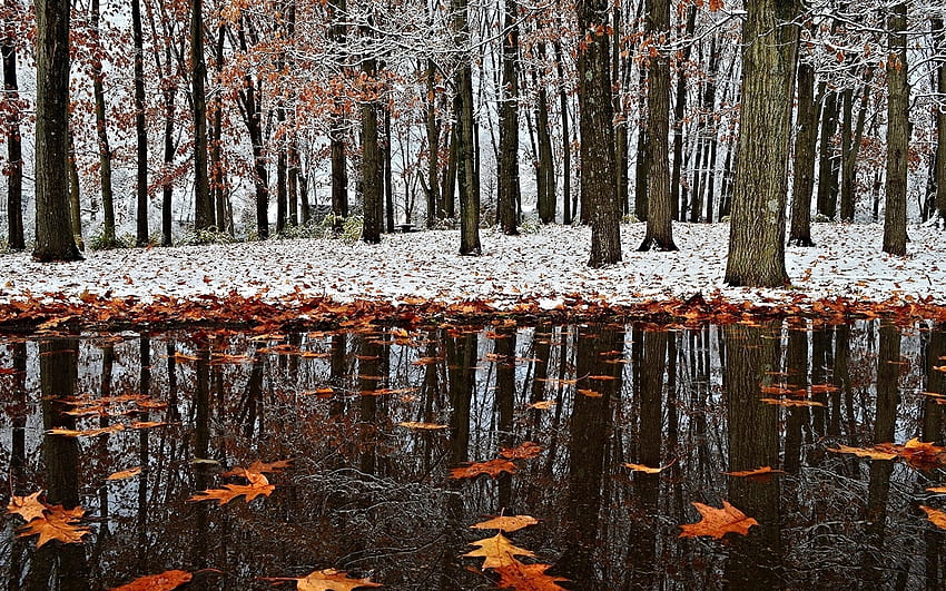 The first snow, river, reflection, snow, trees, autumn HD wallpaper