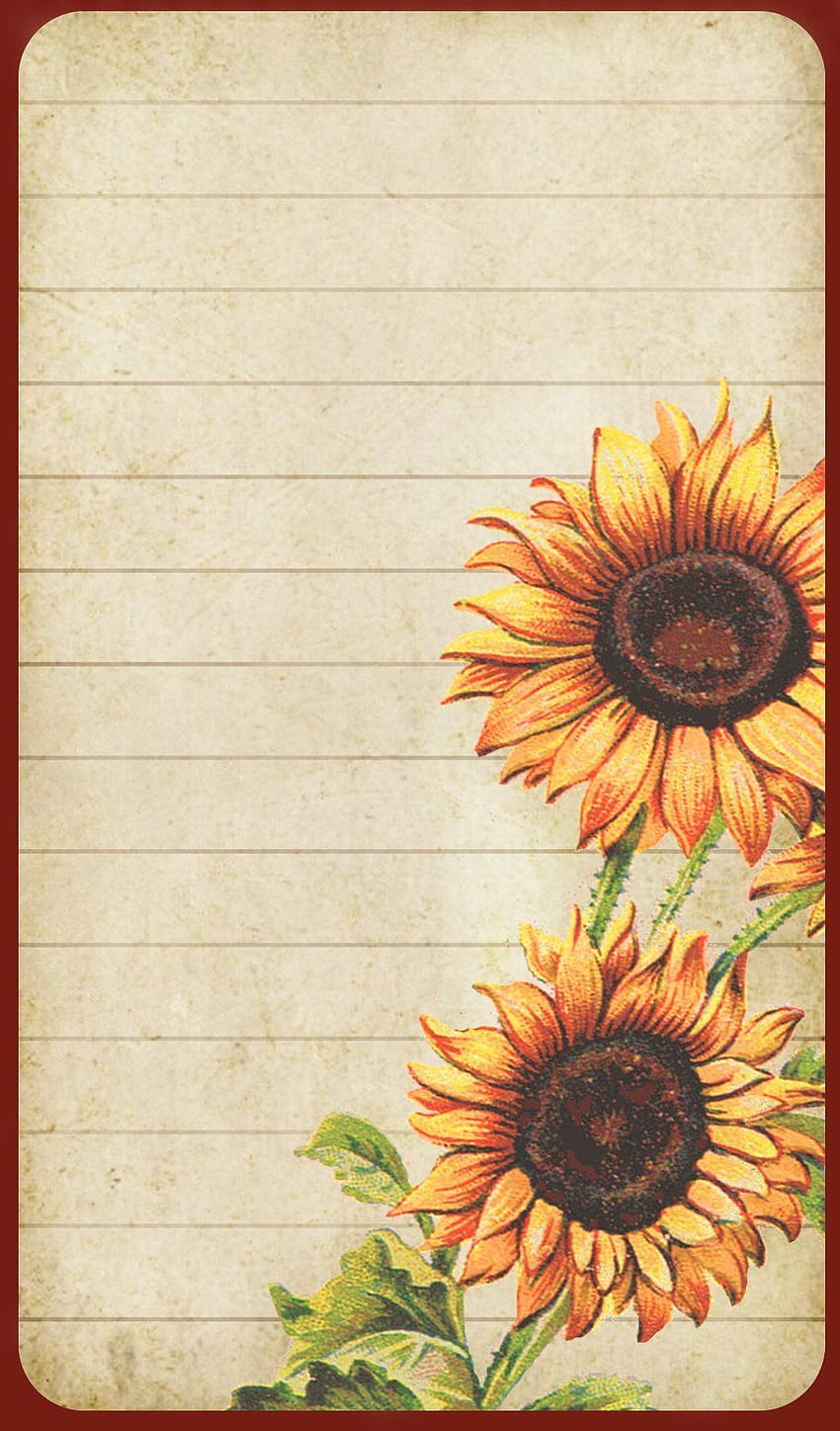 Light Enchanted Sunflower. Printable Stationery, Note Paper, Rustic Sunflower HD phone wallpaper