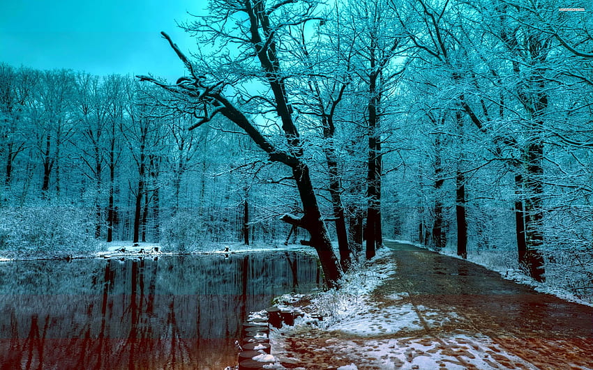 Musim Dingin Biru Gunung Es Sungai, Musim Dingin, Es, Pohon, Sungai, Alam, Pegunungan Wallpaper HD