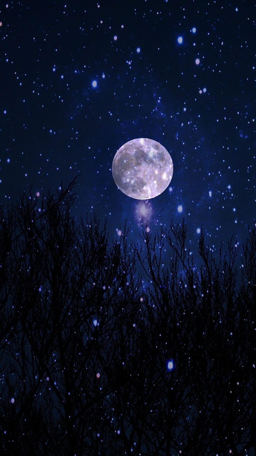 Moon Light, Night Fall HD phone wallpaper