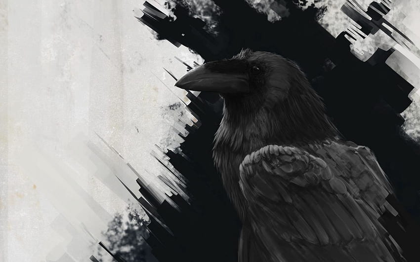 raven, bird, art, black, lines 16:10 background HD wallpaper