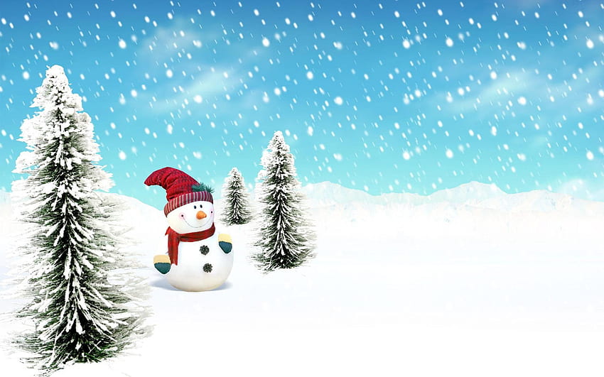 Cool Christmas, Snowman Nativity HD wallpaper