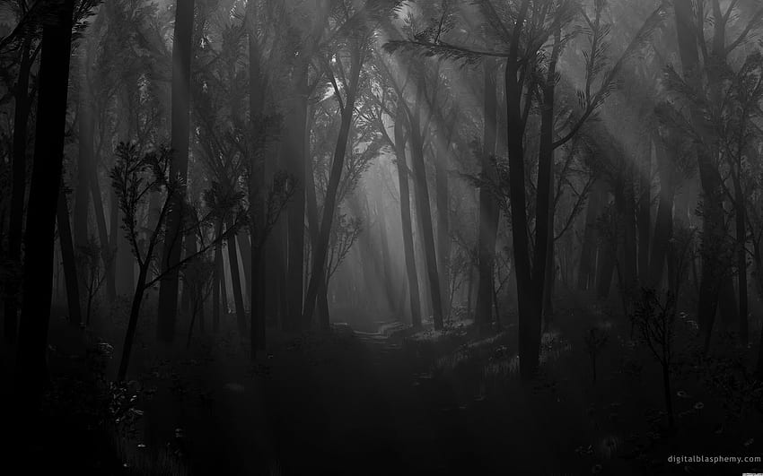 Bosque espeluznante, camino forestal oscuro grande fondo de pantalla