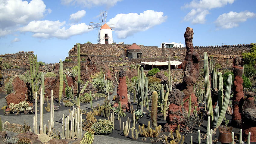 Giardino dei cactus Manrique a Lanzarote 2 . Scenario 554 - Giardino dei cactus Sfondo HD