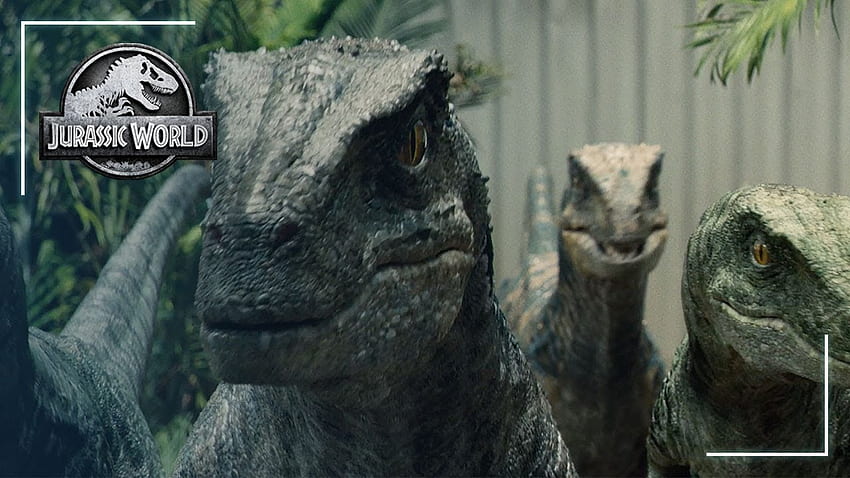Ilmu Serangan: Velociraptor, Jurassic Park Velociraptor Wallpaper HD