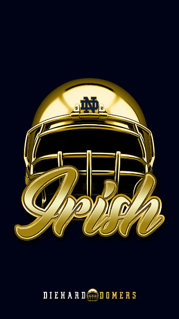 Download A Birds Eye View of Notre Dame Stadium Wallpaper  Wallpaperscom