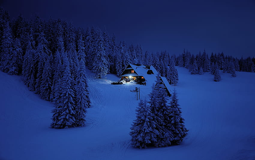 Casa, noche, invierno, árboles, capa de nieve, naturaleza. fondo de pantalla