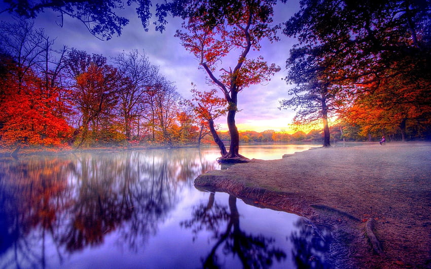 Природа, дървета, есен, езеро, тишина HD тапет