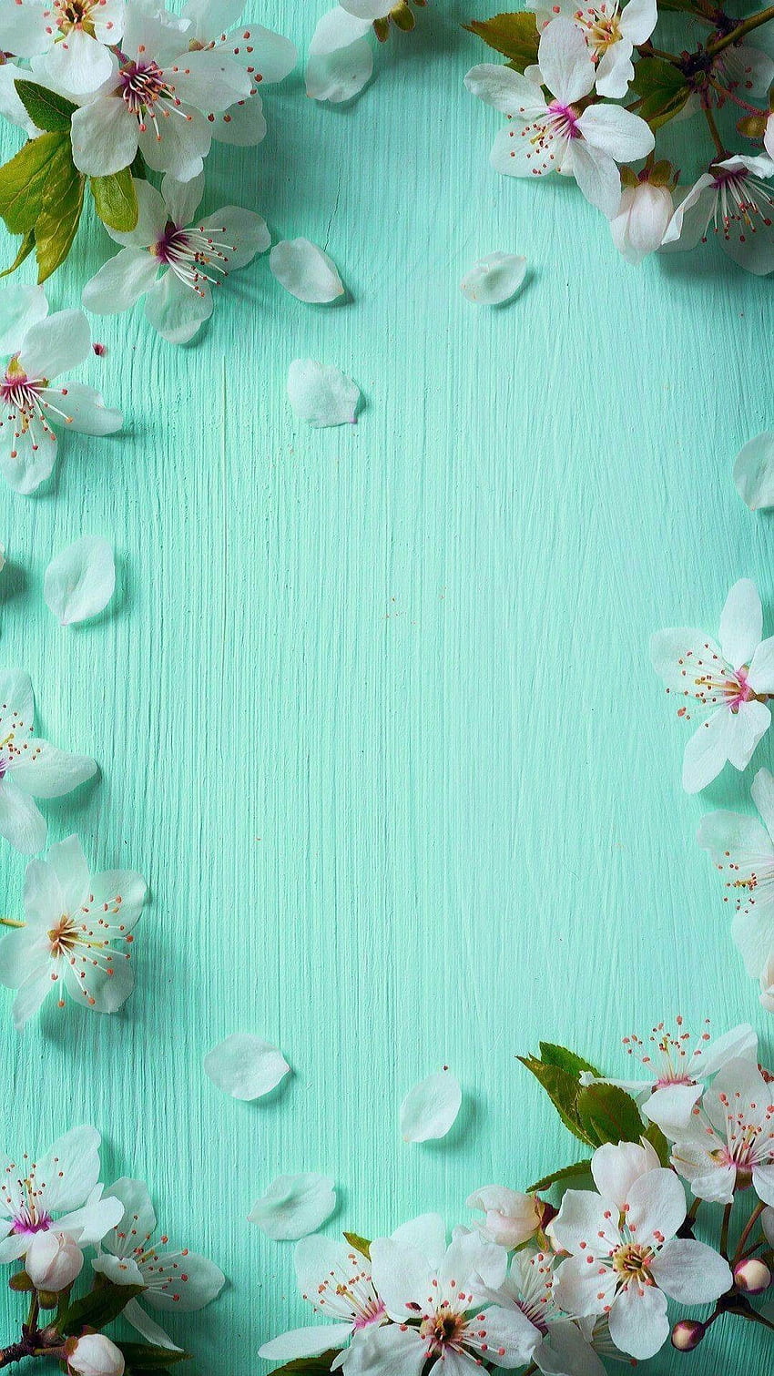 桜, Błękitne Wiosenne Kwiaty Tapeta na telefon HD