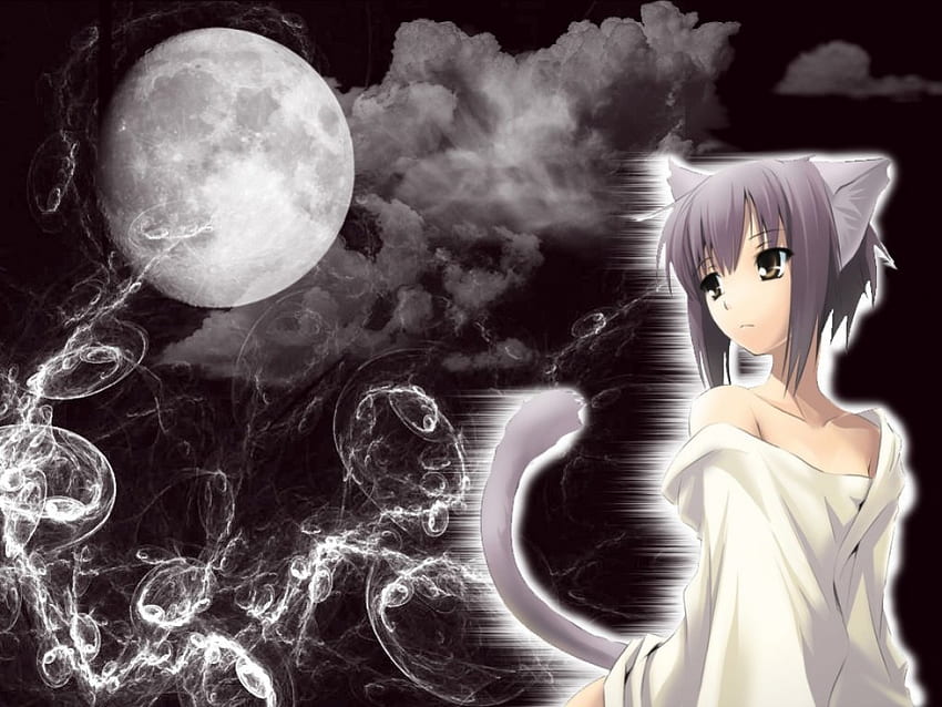 Neko girl, Cat ears, anime, white dress, Moon HD wallpaper