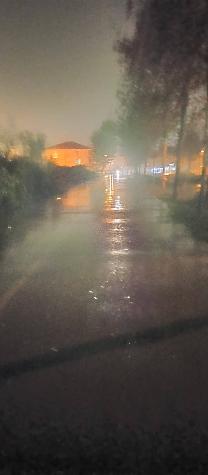 Yağmur, gece, atmosfer, sokak lambas, agac, ışık, asfalt HD phone wallpaper