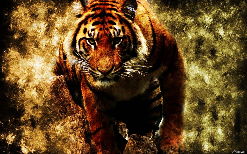 Tiger, Fire Tiger HD wallpaper | Pxfuel