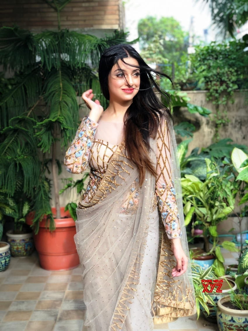 Nuova Delhi: Raksha Bandhan Divya Khosla Kumar presenta la collezione festiva di Reynu Taandon - Social News XYZ. La più bella attrice di Bollywood, sari moderno, bella attrice di Bollywood Sfondo del telefono HD