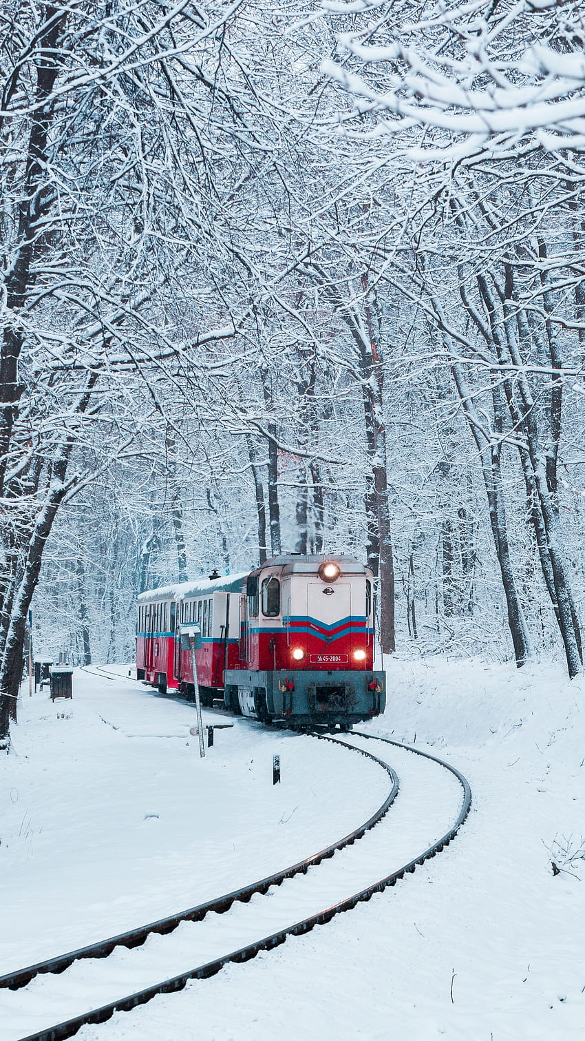 Naturaleza, Nieve, Bosque, Ferrocarril, Tren fondo de pantalla del teléfono
